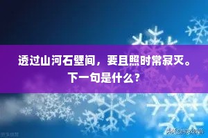 透过山河石壁间，要且照时常寂灭。下一句是什么？