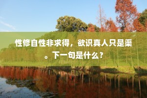 性修自性非求得，欲识真人只是渠。下一句是什么？