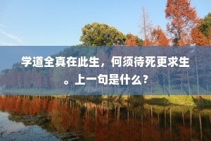 学道全真在此生，何须待死更求生。上一句是什么？