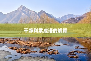 干净利索成语的解释