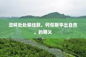 流杯处处称佳致，何似斯亭出自然。的释义
