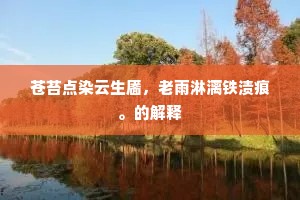 苍苔点染云生靥，老雨淋漓铁渍痕。的解释
