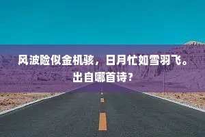 风波险似金机骇，日月忙如雪羽飞。出自哪首诗？