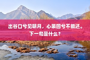 出谷口兮见明月，心裴回兮不能还。下一句是什么？