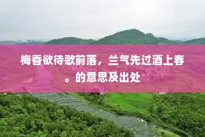 梅香欲待歌前落，兰气先过酒上春。的意思及出处