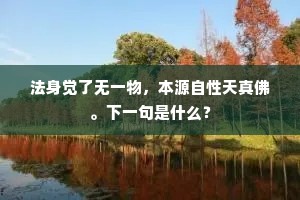 法身觉了无一物，本源自性天真佛。下一句是什么？