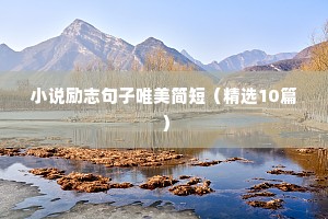 小说励志句子唯美简短（精选10篇）