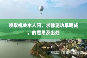 唤取机关木人问，求佛施功早晚成。的意思及出处