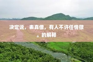 决定说，表真僧，有人不许任情徵。的解释