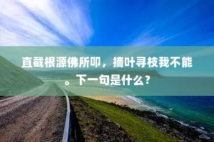 直截根源佛所叩，摘叶寻枝我不能。下一句是什么？