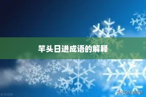 竿头日进成语的解释