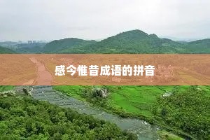 感今惟昔成语的拼音