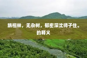 旃檀林，无杂树，郁密深沈师子住。的释义