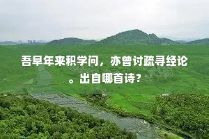 吾早年来积学问，亦曾讨疏寻经论。出自哪首诗？