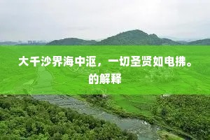大千沙界海中沤，一切圣贤如电拂。的解释