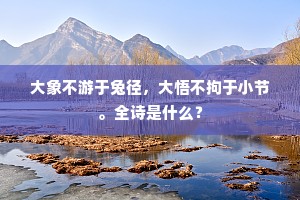大象不游于兔径，大悟不拘于小节。全诗是什么？