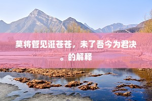 莫将管见诳苍苍，未了吾今为君决。的解释
