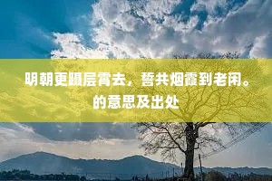 明朝更蹑层霄去，誓共烟霞到老闲。的意思及出处