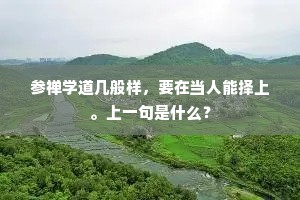 参禅学道几般样，要在当人能择上。上一句是什么？