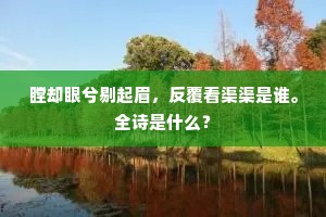 瞠却眼兮剔起眉，反覆看渠渠是谁。全诗是什么？