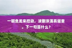 一朝鱼龙来搅动，波翻浪涌真堪重。下一句是什么？