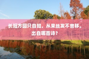 长短方圆只自知，从来丝发不曾移。出自哪首诗？