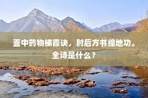 壶中药物梯霞诀，肘后方书缩地功。全诗是什么？