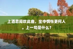 上酒忽闻吹此曲，坐中惆怅更何人。上一句是什么？