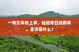 一别三年在上京，仙垣终日选群英。全诗是什么？