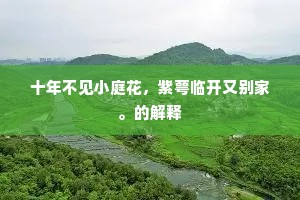 十年不见小庭花，紫萼临开又别家。的解释