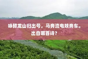 咏碎龙山归出号，马奔流电妓奔车。出自哪首诗？
