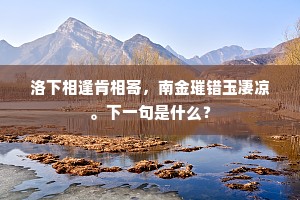 洛下相逢肯相寄，南金璀错玉凄凉。下一句是什么？