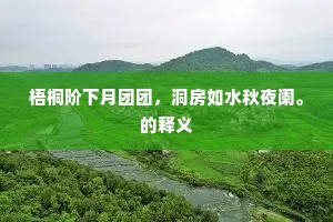 梧桐阶下月团团，洞房如水秋夜阑。的释义