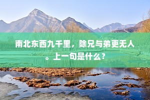 南北东西九千里，除兄与弟更无人。上一句是什么？