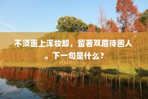 不须面上浑妆却，留著双眉待画人。下一句是什么？