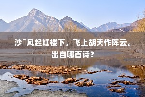 沙塠风起红楼下，飞上胡天作阵云。出自哪首诗？