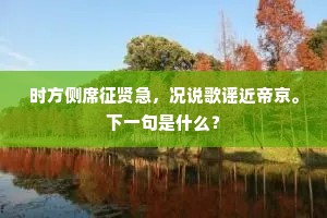 时方侧席征贤急，况说歌谣近帝京。下一句是什么？