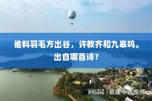 谁料羽毛方出谷，许教齐和九皋呜。出自哪首诗？