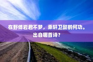 在野傅岩君不梦，乘轩卫懿鹤何功。出自哪首诗？