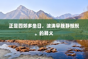 正是四郊多垒日，波涛早晚静鲸鲵。的释义