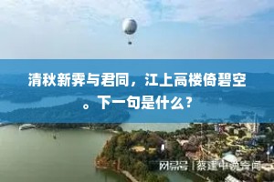 清秋新霁与君同，江上高楼倚碧空。下一句是什么？