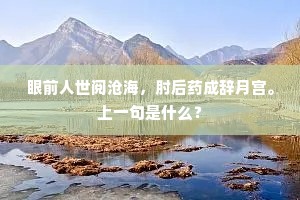 眼前人世阅沧海，肘后药成辞月宫。上一句是什么？