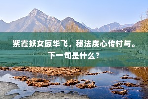 紫霞妖女琼华飞，秘法虔心传付与。下一句是什么？