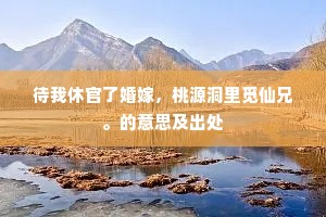 待我休官了婚嫁，桃源洞里觅仙兄。的意思及出处