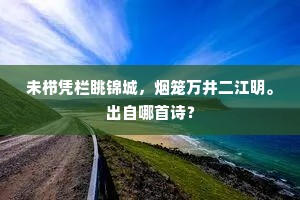 未栉凭栏眺锦城，烟笼万井二江明。出自哪首诗？
