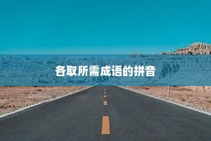 各取所需成语的拼音