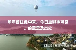 顷年曾住此中来，今日重游事可哀。的意思及出处