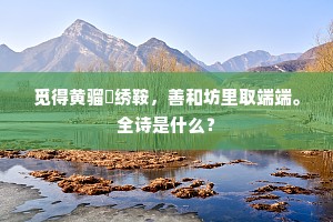 觅得黄骝鞁绣鞍，善和坊里取端端。全诗是什么？