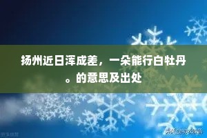 扬州近日浑成差，一朵能行白牡丹。的意思及出处
