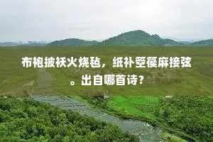 布袍披袄火烧毡，纸补箜篌麻接弦。出自哪首诗？